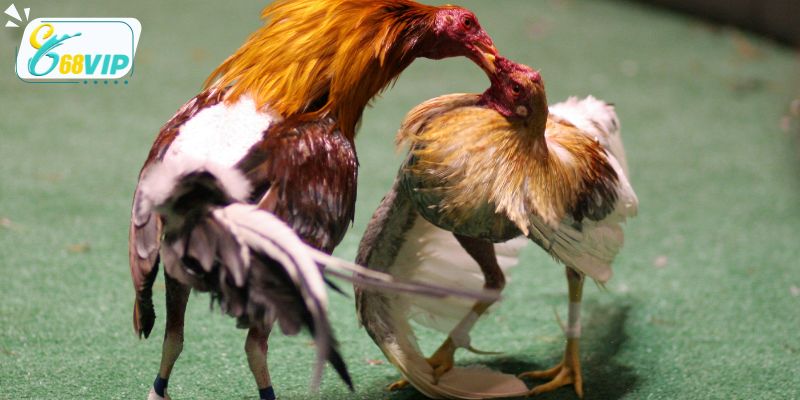 Sự công bằng và minh bạch là yếu tố quan trọng